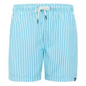 Regatta Mens Loras Striped Swim Shorts / Aquarius Blue